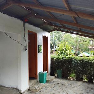 Glamping Kubo